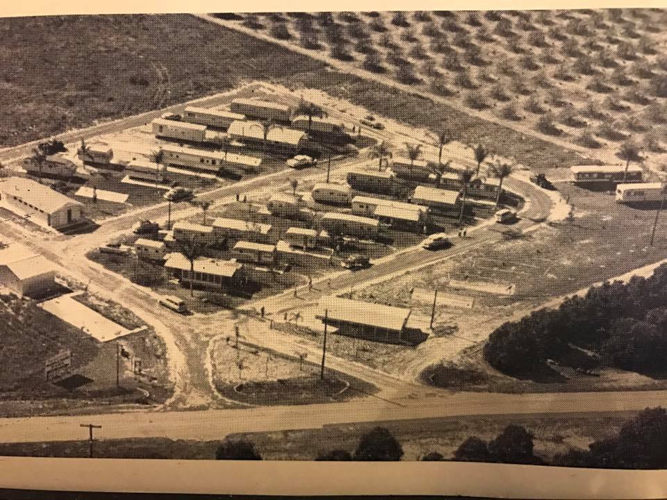 Parakeet Park early 1950s